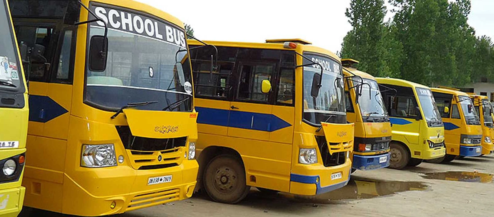 Transport